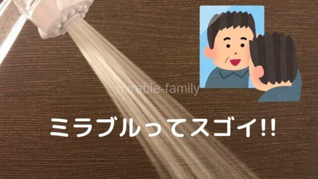 ミラブル育毛効果