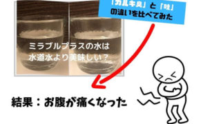 ミラブルの水を飲んでみた