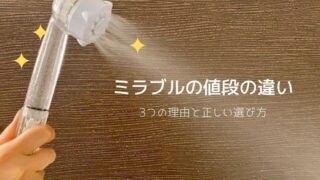ミラブルの値段の違い
