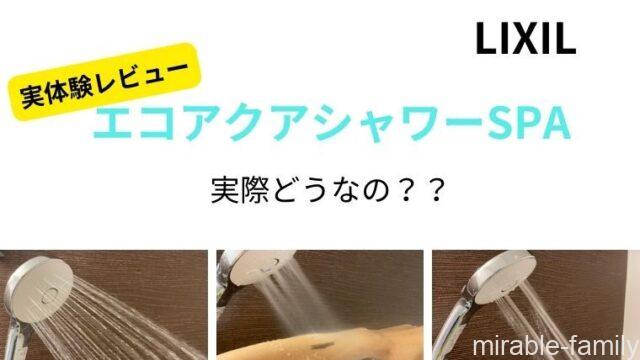 エコアクアシャワーレビュー